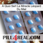 À Quoi Sert Le Miracle Léopard Du Miel viagra4